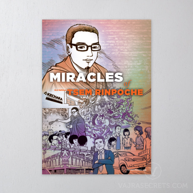 The Miracles of Tsem Rinpoche (Ebook Edition)