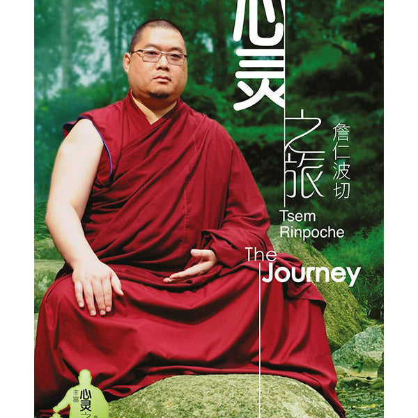 The Journey DVD Boxset