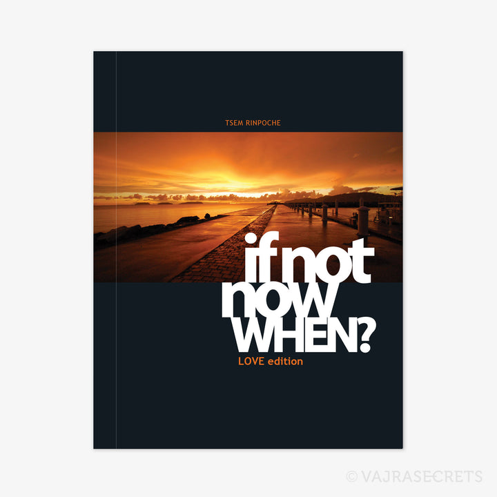If Not Now, When? Love Edition (Ebook Edition)