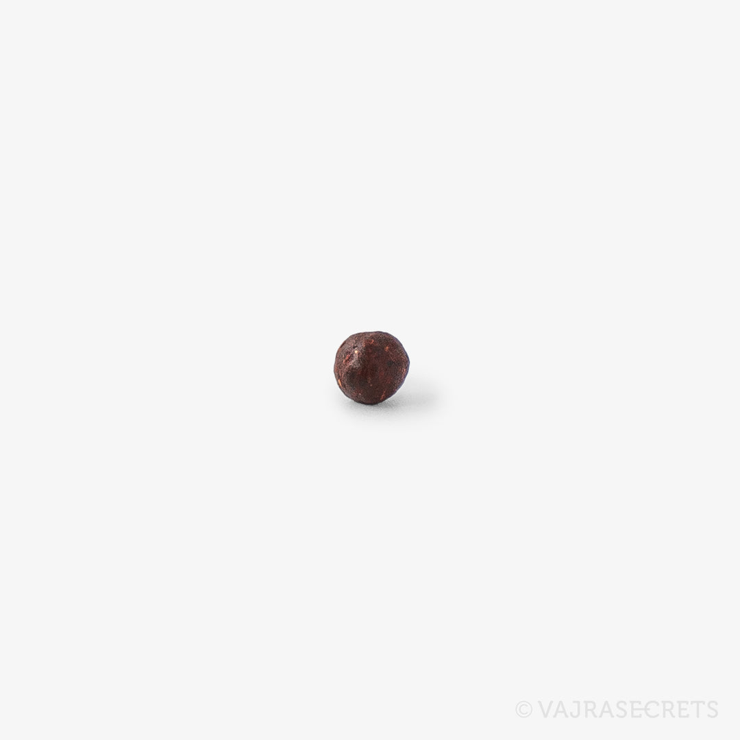 Dalai Lama Mani Rilbu