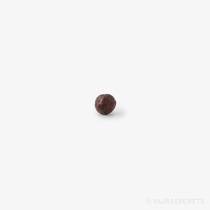 Dalai Lama Mani Rilbu