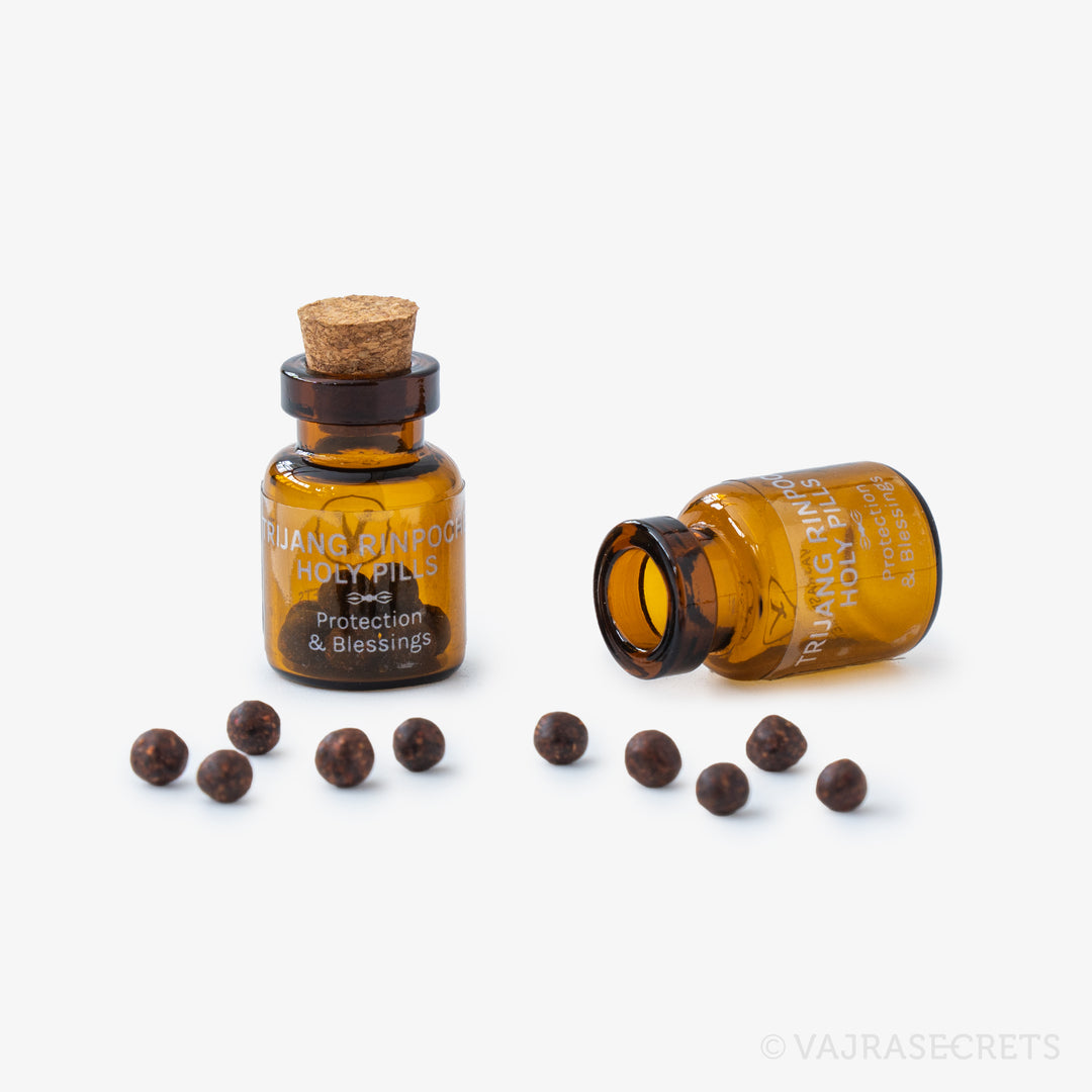 Trijang Rinpoche Holy Rilbu