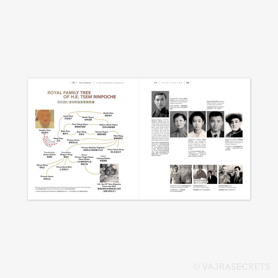 Tsem Ripoche The Promise: A Tsem Rinpoche Biography (4th Edition) – Vajrasecrets