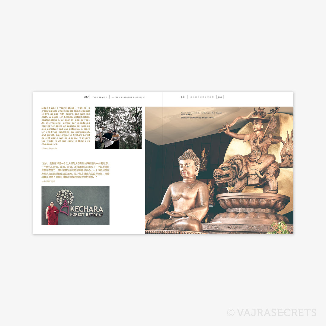 Tsem Ripoche The Promise: A Tsem Rinpoche Biography (4th Edition) – Vajrasecrets