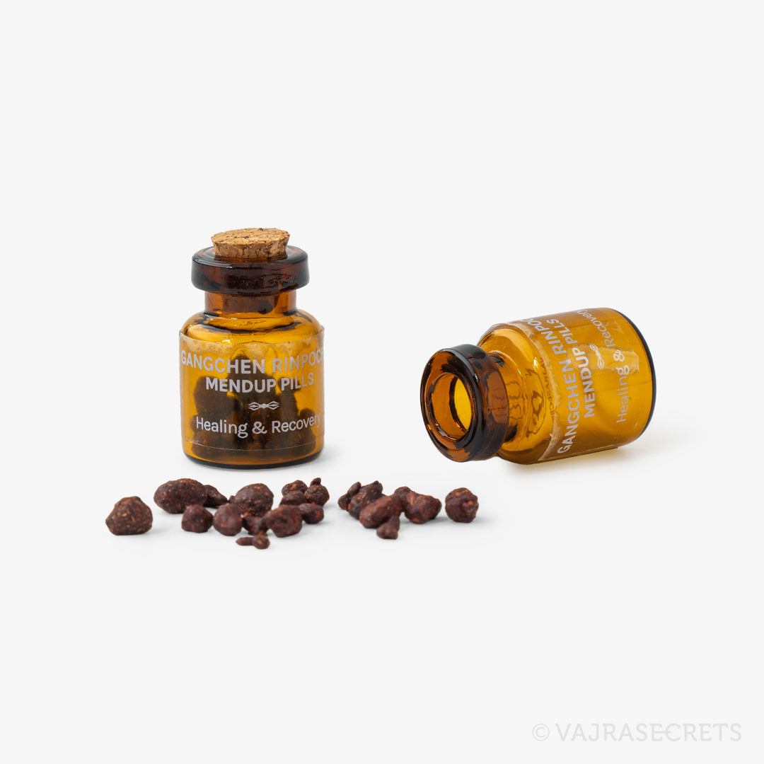 Gangchen Rinpoche Mendup Rilbu