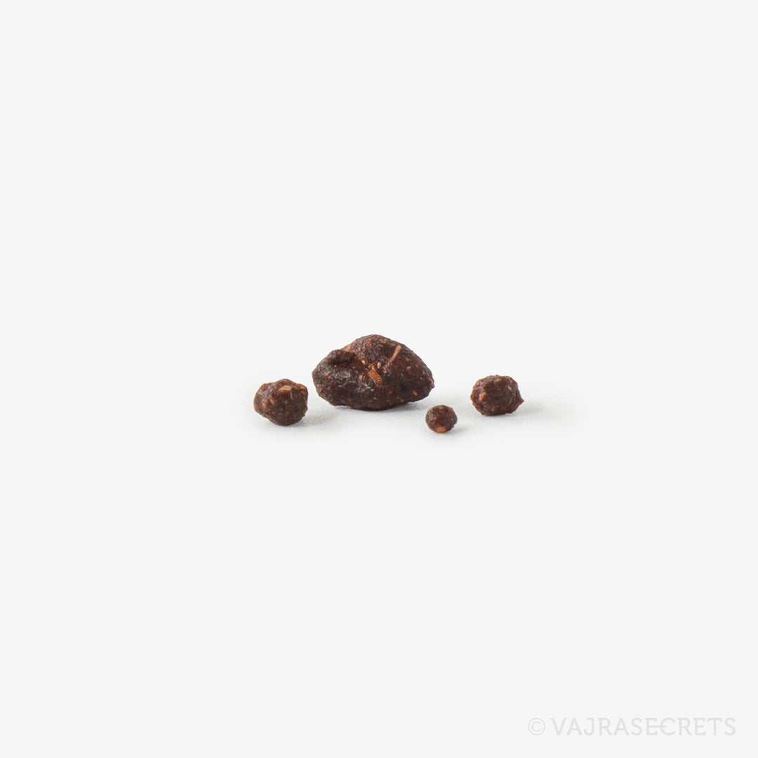 Gangchen Rinpoche Mendup Rilbu