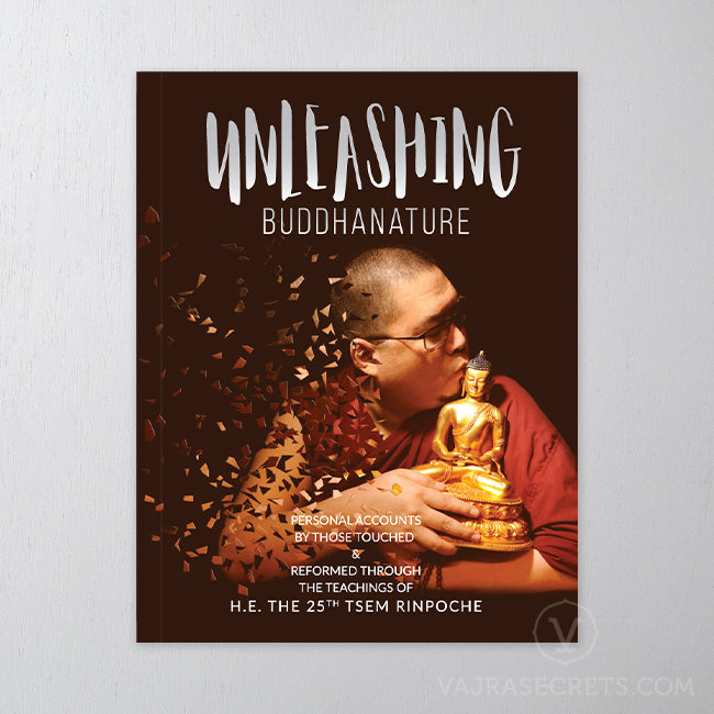 Unleashing Buddhanature (Ebook Edition)