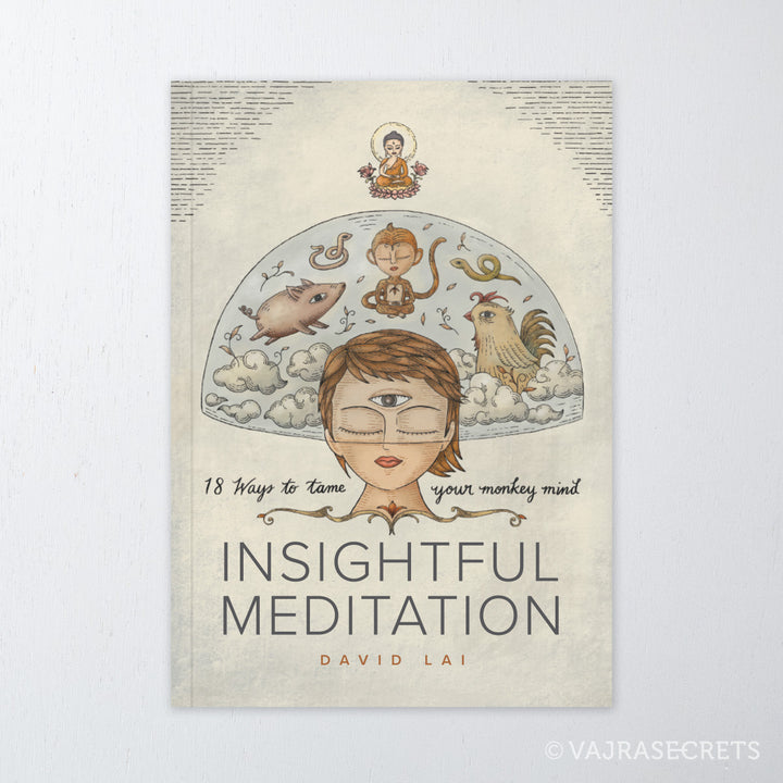 Insightful Meditation