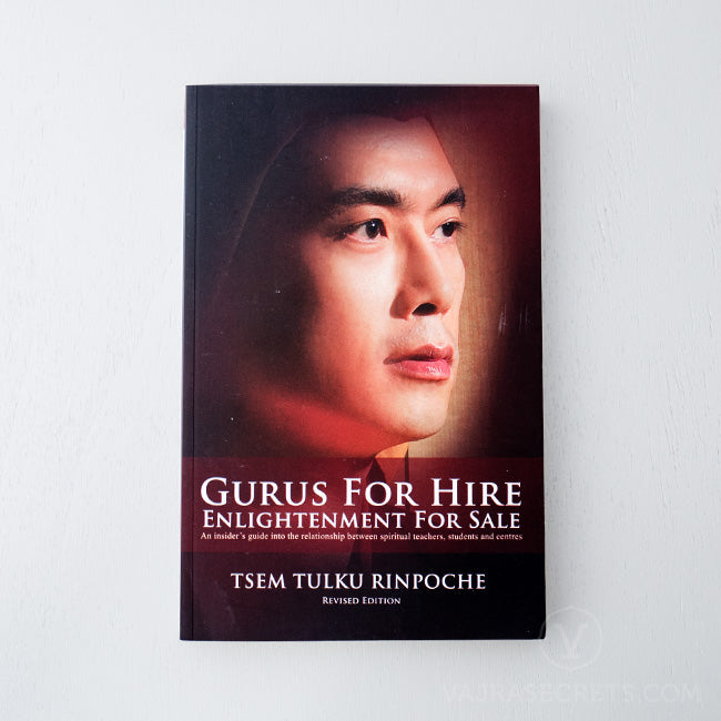 Gurus for Hire, Enlightenment for Sale (Ebook Edition)