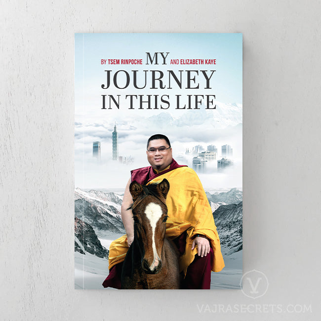 My Journey in This Life (Ebook Edition)