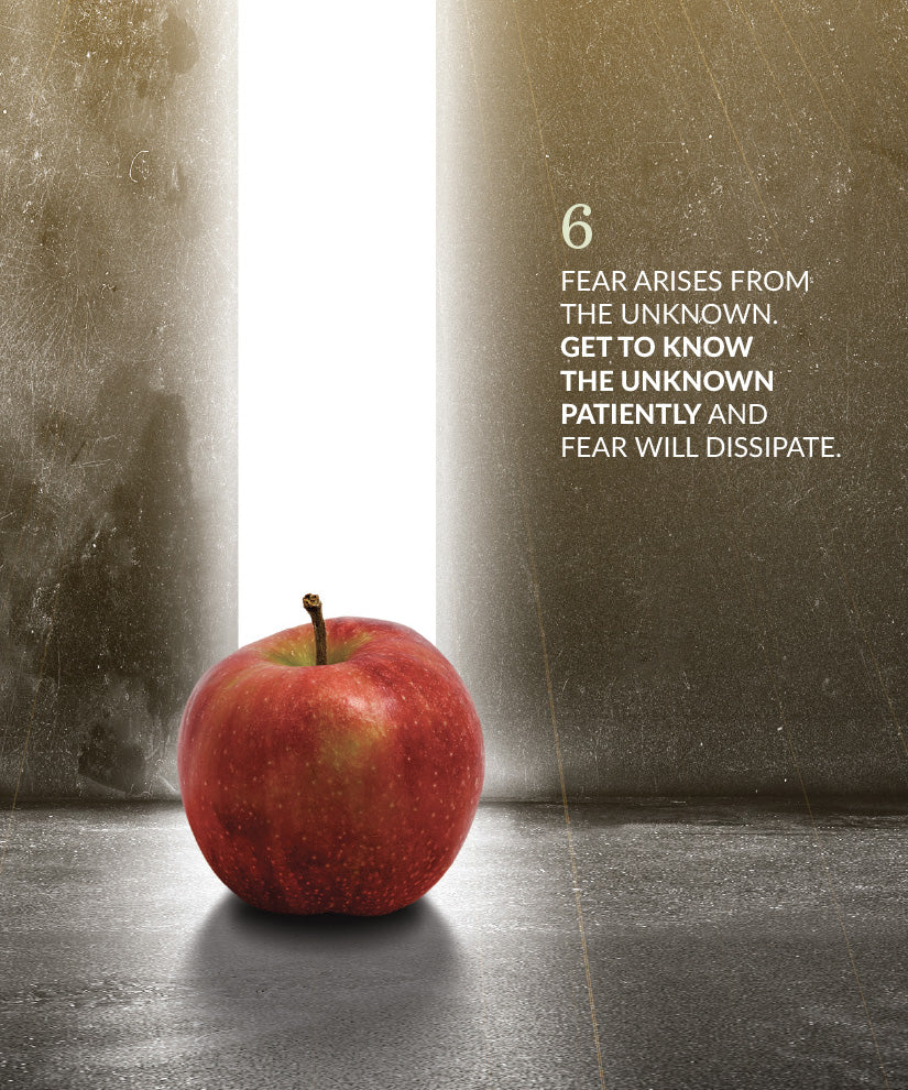 108 Ways to Grab My Apples 2 (Ebook Edition)