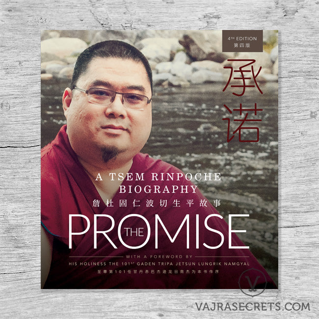 The Promise: A Tsem Rinpoche Biography (4th Edition)